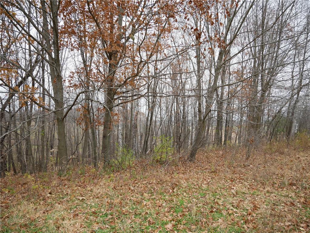 82 12th Street Ridgeland, WI 54763 - Photo 12 of 39