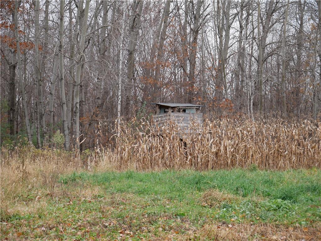 82 12th Street Ridgeland, WI 54763 - Photo 14 of 39