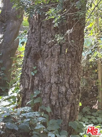 $3,995,000 | 643 Hightree Road, Santa Monica, CA 90402