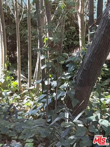 $3,995,000 | 643 Hightree Road, Santa Monica, CA 90402