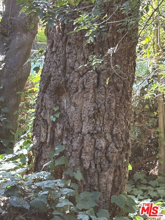 643 Hightree Road Santa Monica, CA 90402 - Photo 21 of 25