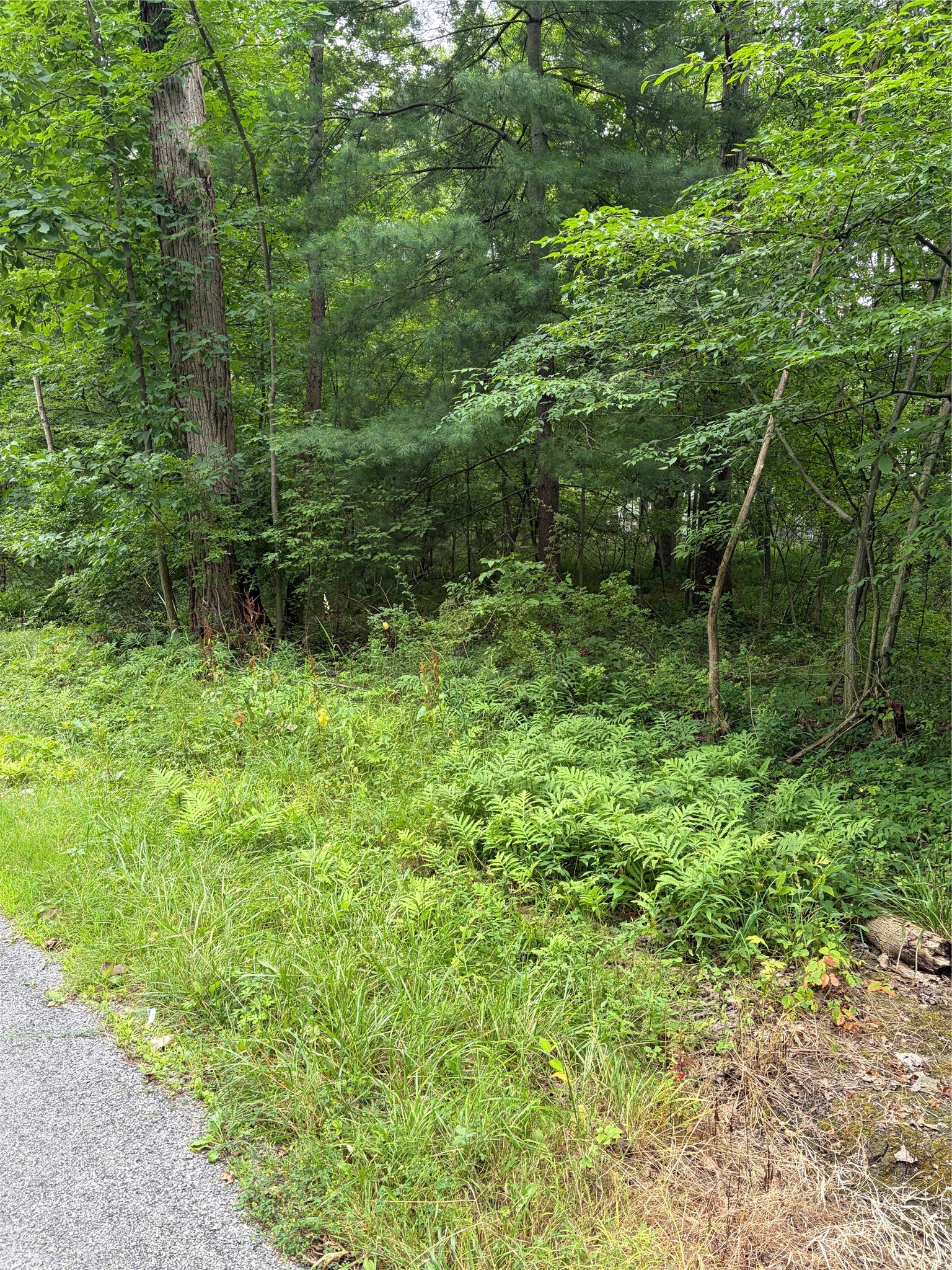 Penn Road Jamestown, PA 16134 - Photo 4 of 5