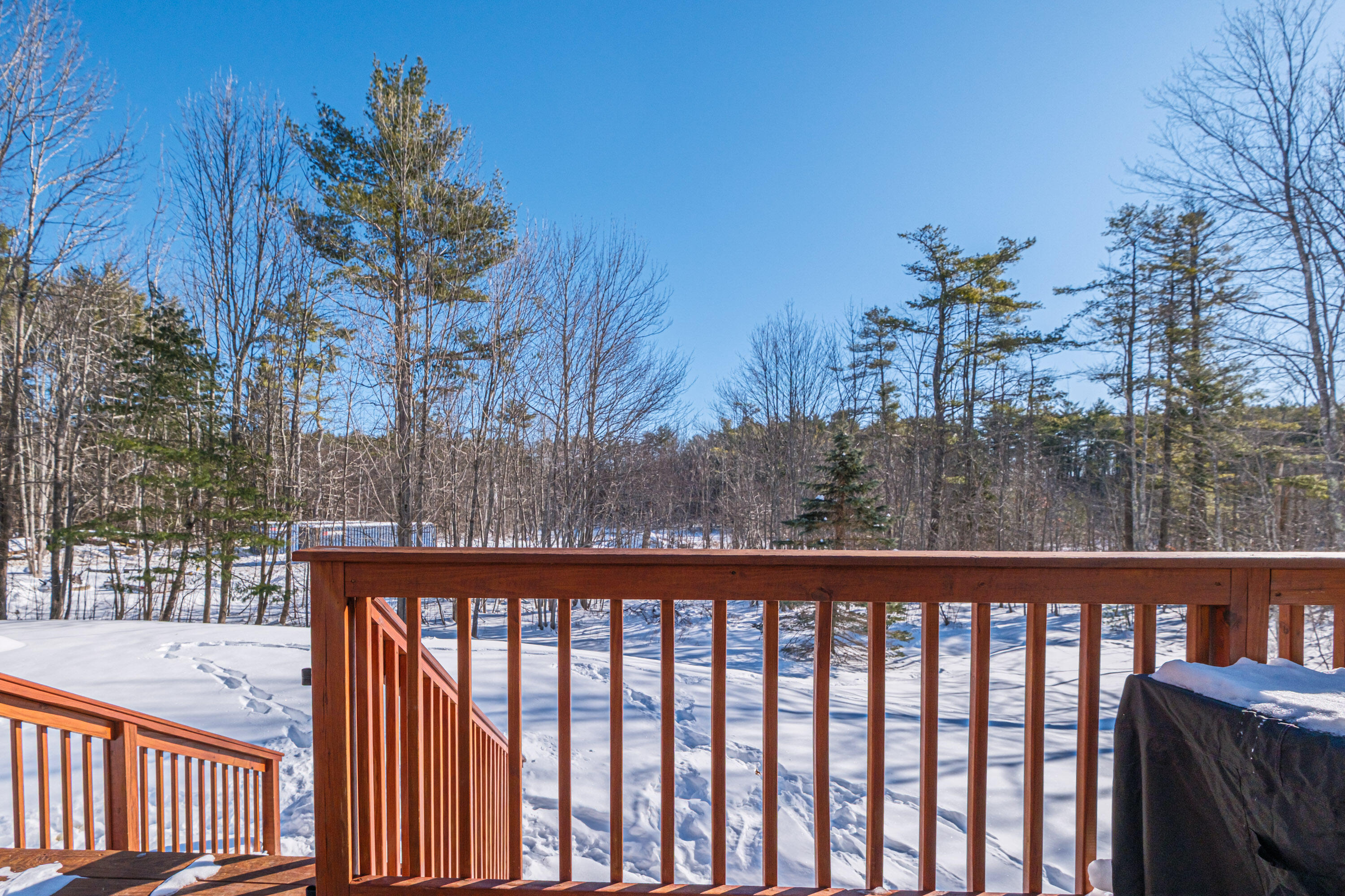 161 Harding Road Brunswick, ME 04011 - Photo 54 of 55 20260203gp-60079