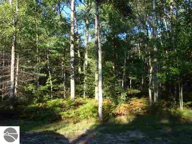 3528 A Grand Kal Road Fife Lake, MI 49633 - Photo 4 of 19 1729245-3.JPG