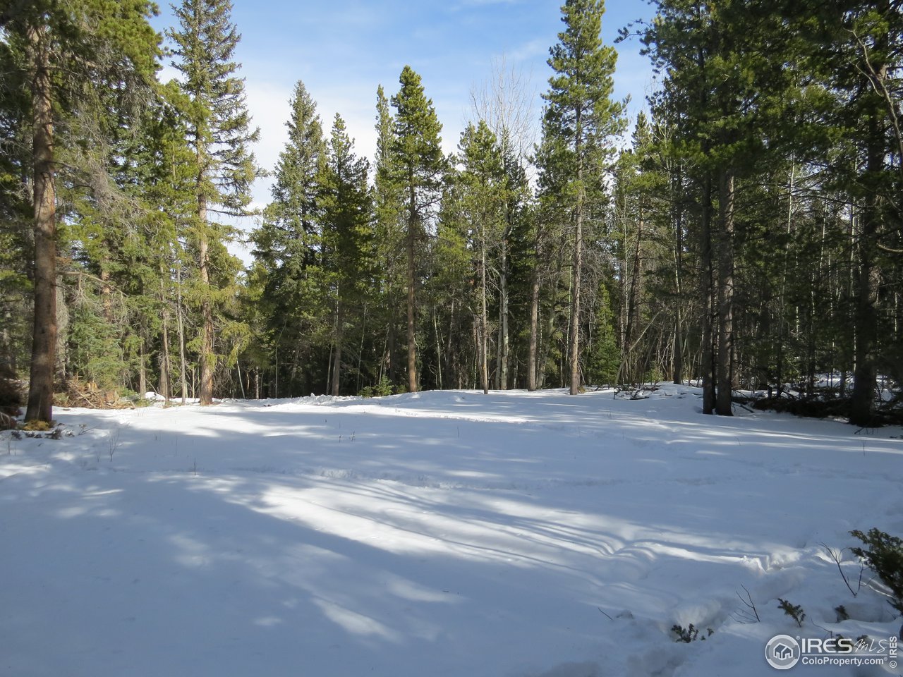 0 Aspen Road Black Hawk, CO 80422 - Photo 1 of 23 Building site cleared