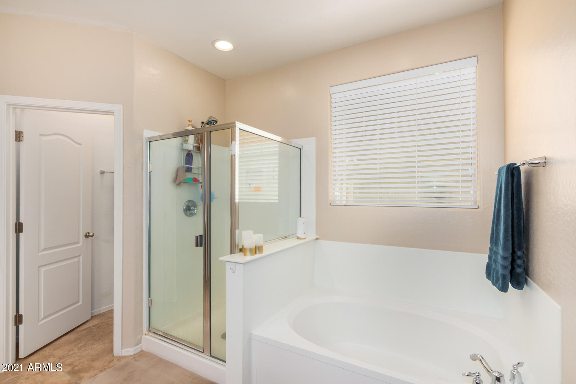 17344 West Red Bird Road Surprise, AZ 85387 - Photo 25 of 43 Owners Bathroom