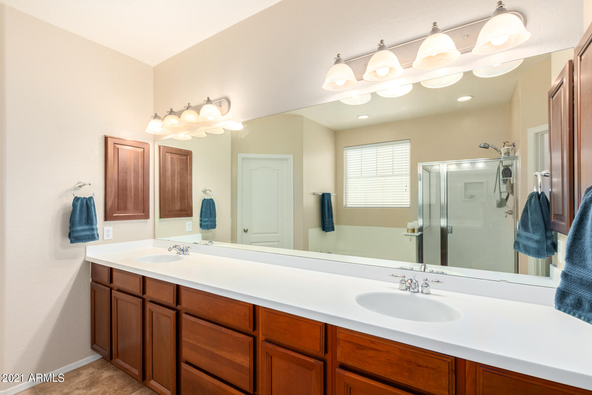 17344 West Red Bird Road Surprise, AZ 85387 - Photo 26 of 43 Owners Bathroom