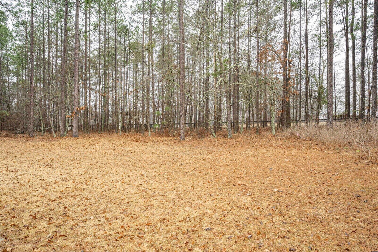 975 Anderson Mill Road Aiken, SC 29803 - Photo 41 of 42 Gallery Image 41