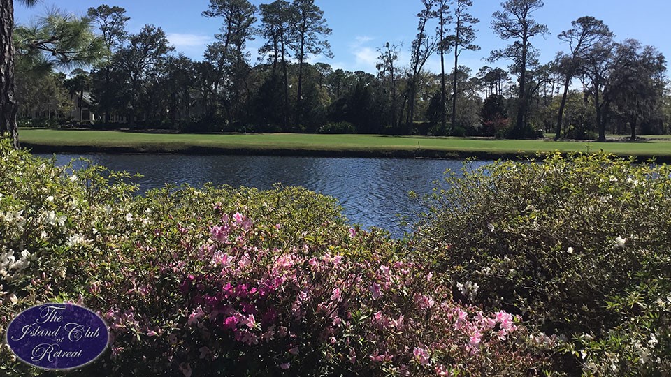 109 Cascades St. Simons Island, GA 31522 - Photo 20 of 24