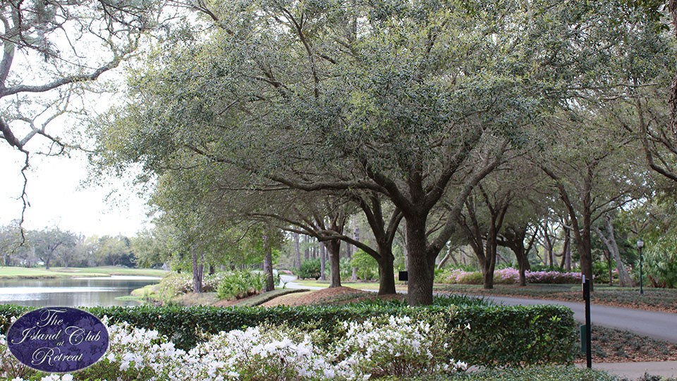 109 Cascades St. Simons Island, GA 31522 - Photo 21 of 24