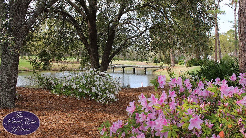 109 Cascades St. Simons Island, GA 31522 - Photo 23 of 24