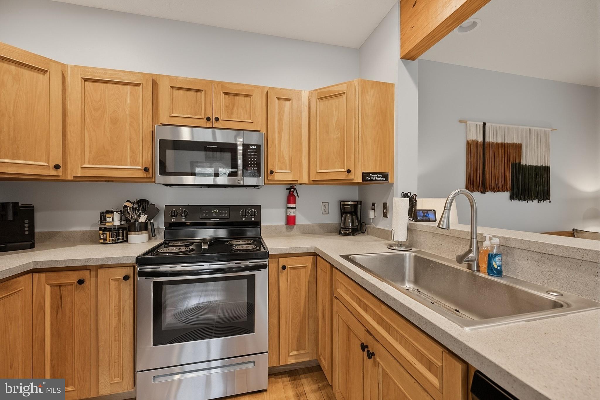 79 Marsh Hill Road, Unit 5 McHenry, MD 21541 - Photo 9 of 48