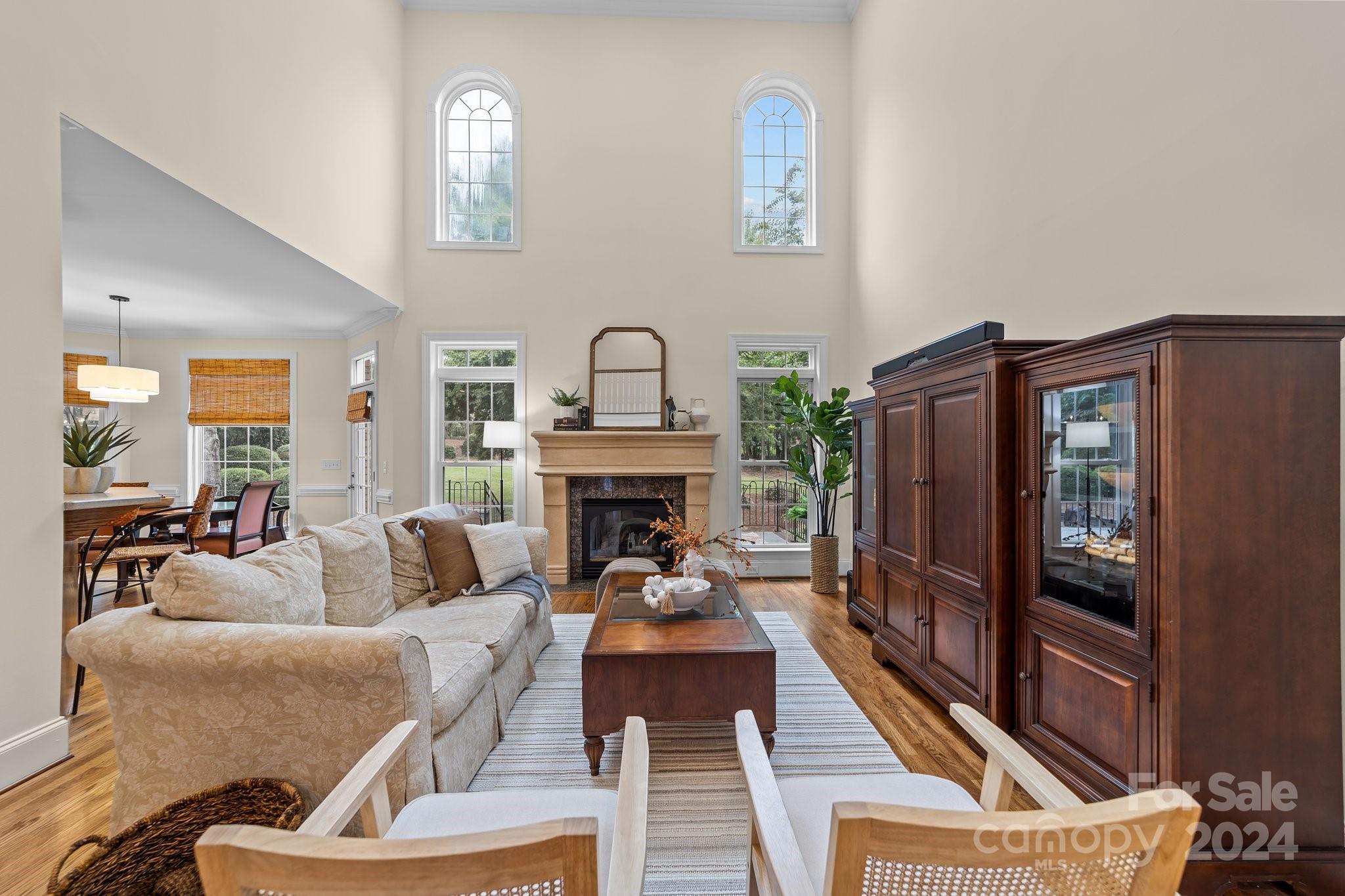 6370 Chamar Circle Kannapolis, NC 28081 - Photo 9 of 48 a living room with furniture a fireplace and a potted plant