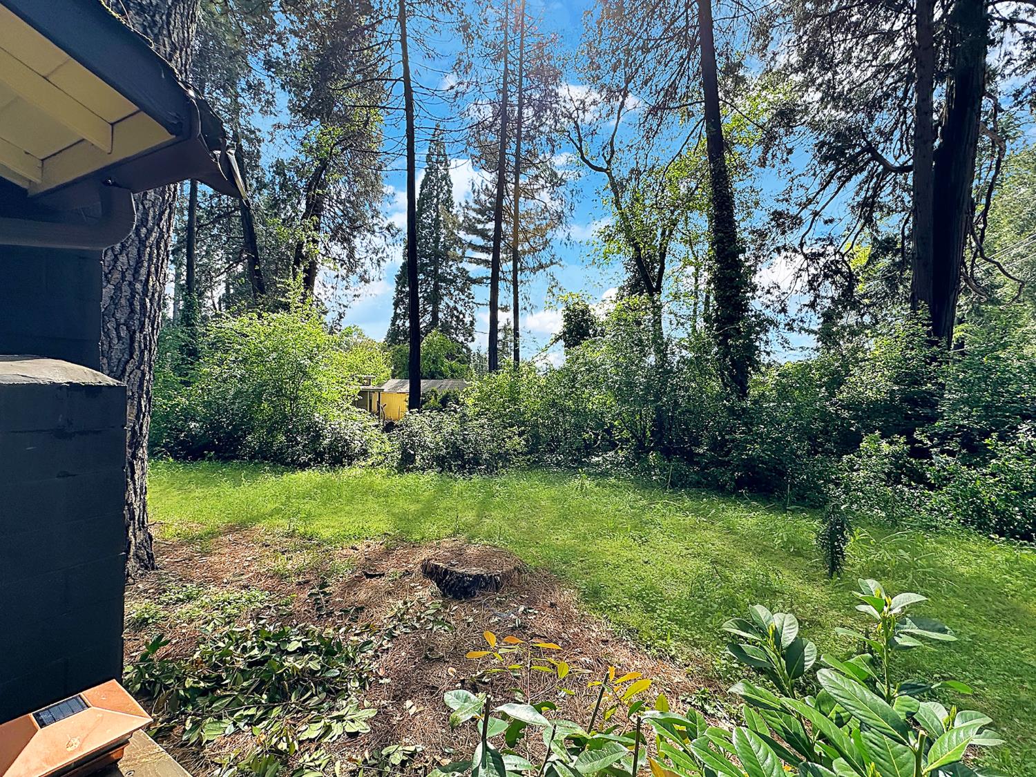 13608 Day Road Grass Valley, CA 95945 - Photo 21 of 23