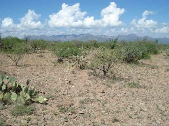 57 Camino Nacozari Rio Rico, AZ 85648 - Photo 2 of 9