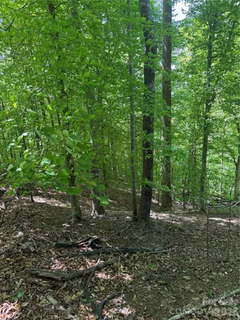 $28,000 | 0 Creekside Circle, Unit 135, Rutherfordton, NC 28139