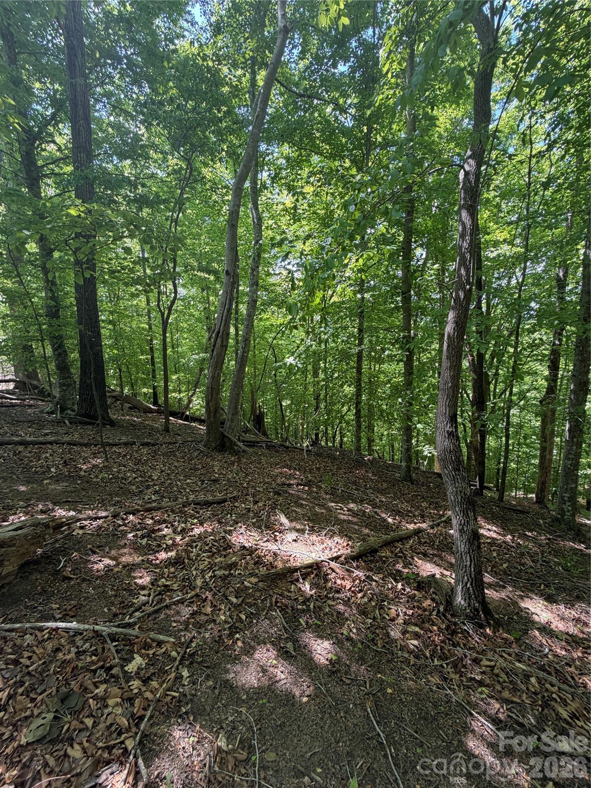 0 Creekside Circle, Unit 135 Rutherfordton, NC 28139 - Photo 12 of 20 a view of a forest with trees