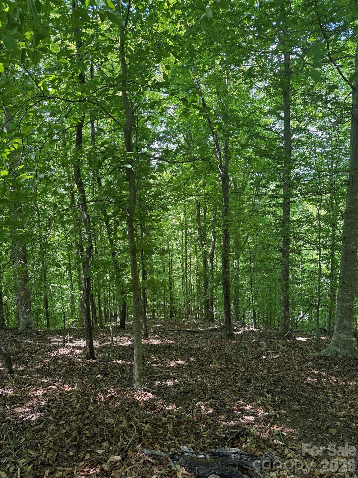 0 Creekside Circle, Unit 135 Rutherfordton, NC 28139 - Photo 13 of 20 a view of outdoor space and trees