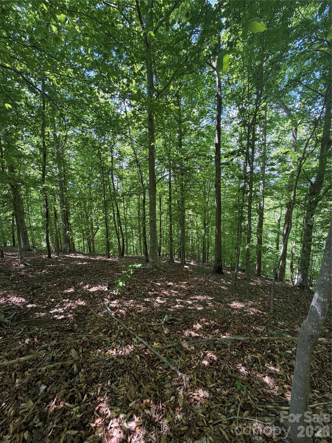 0 Creekside Circle, Unit 135 Rutherfordton, NC 28139 - Photo 14 of 20 a view of outdoor space with trees