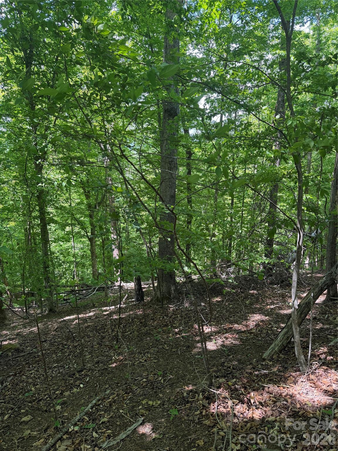 0 Creekside Circle, Unit 135 Rutherfordton, NC 28139 - Photo 16 of 20 a view of outdoor space and trees