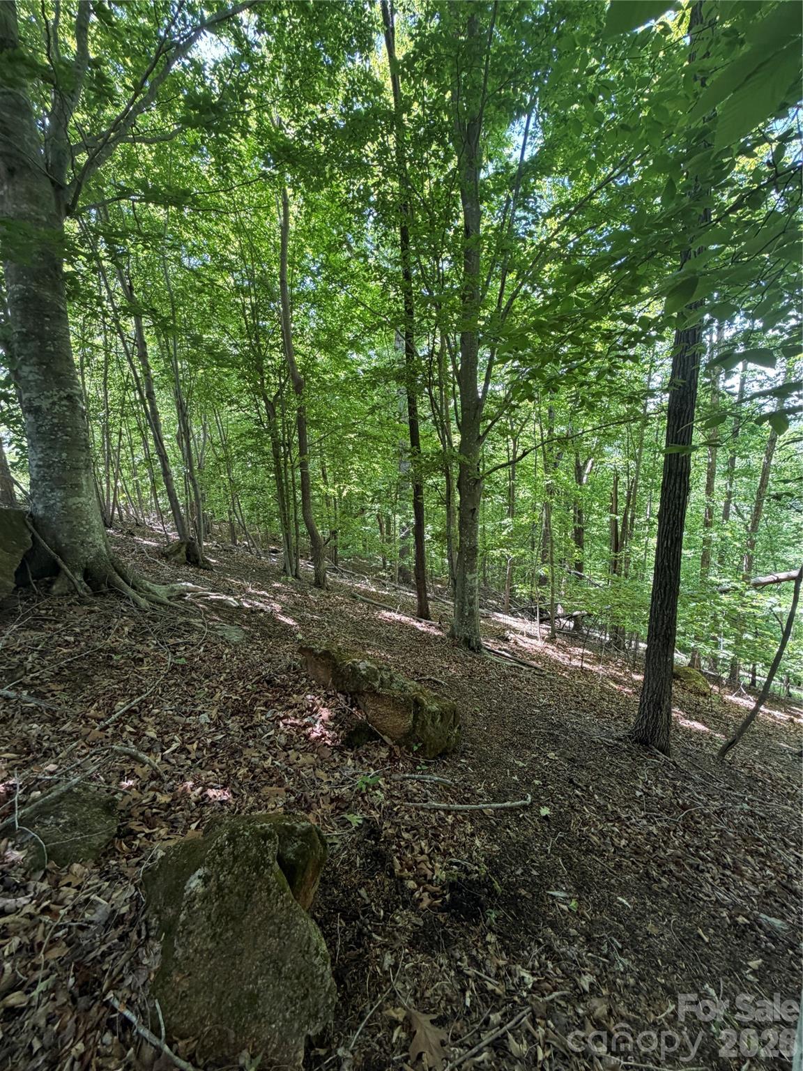 0 Creekside Circle, Unit 135 Rutherfordton, NC 28139 - Photo 20 of 20 a view of a forest with trees
