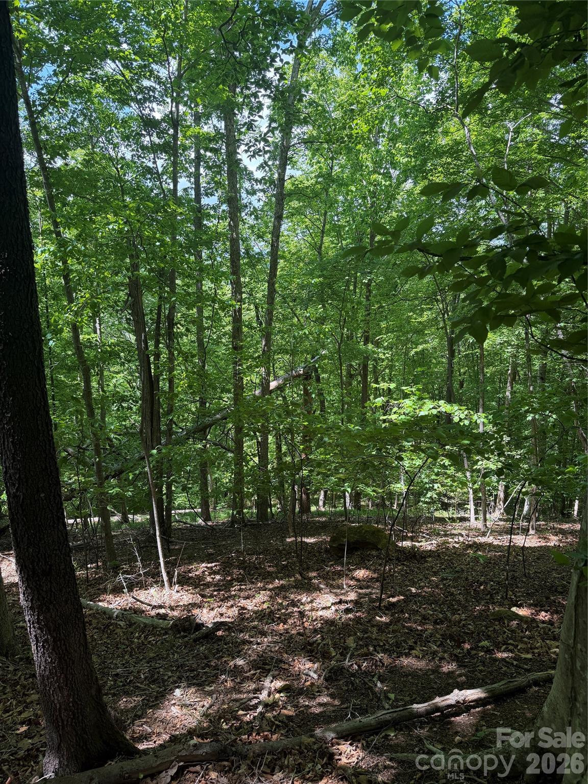 0 Creekside Circle, Unit 135 Rutherfordton, NC 28139 - Photo 2 of 20 a backyard of a house with lots of green space