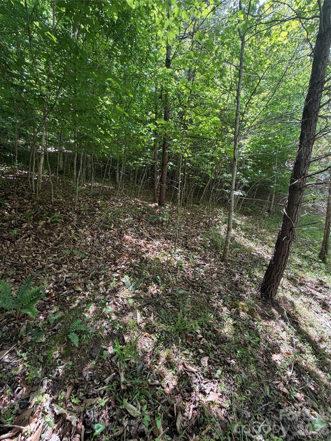 0 Creekside Circle, Unit 135 Rutherfordton, NC 28139 - Photo 3 of 20 a backyard of a house with lots of green space