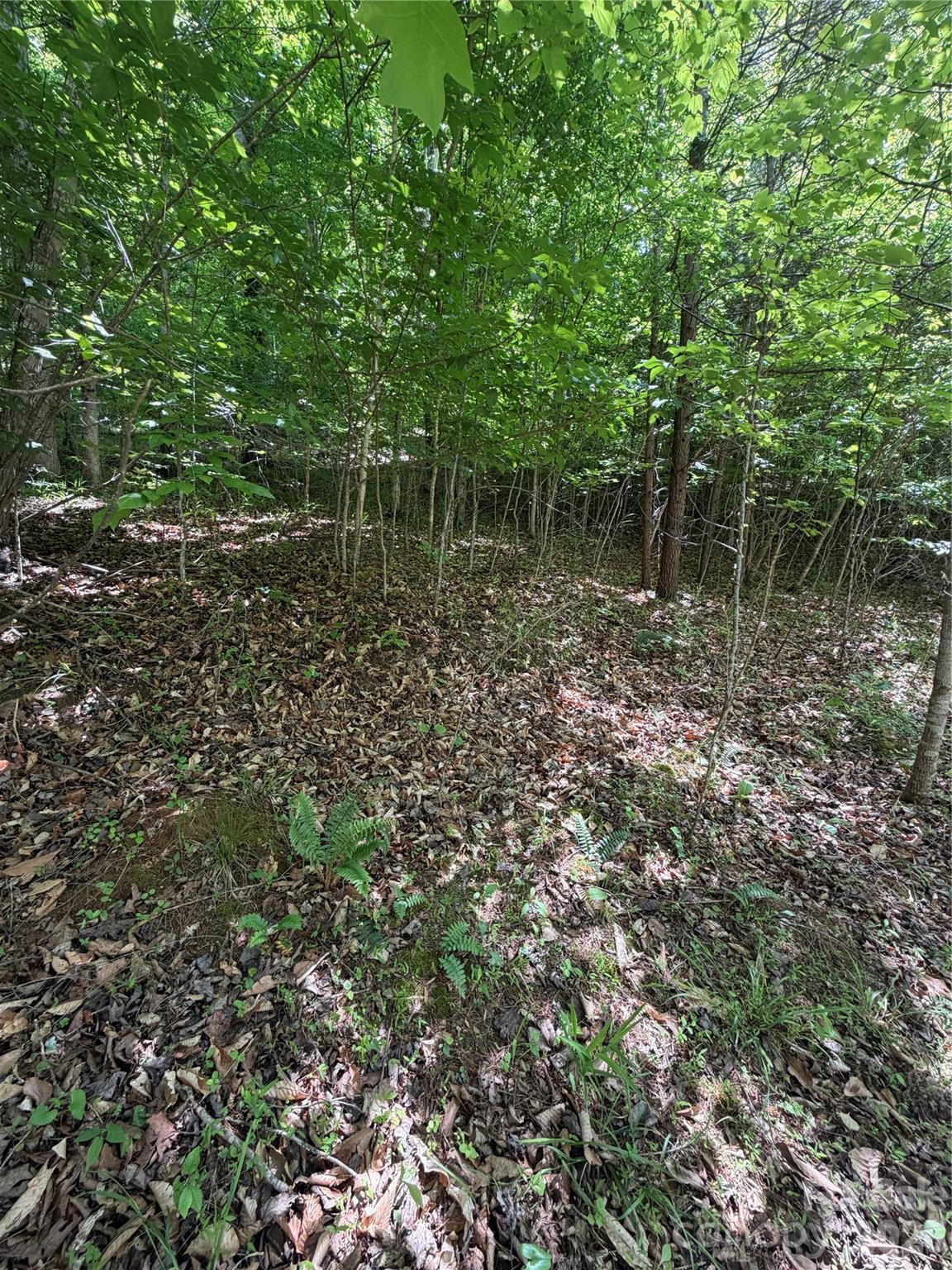 0 Creekside Circle, Unit 135 Rutherfordton, NC 28139 - Photo 4 of 20 a view of a green field with lots of bushes