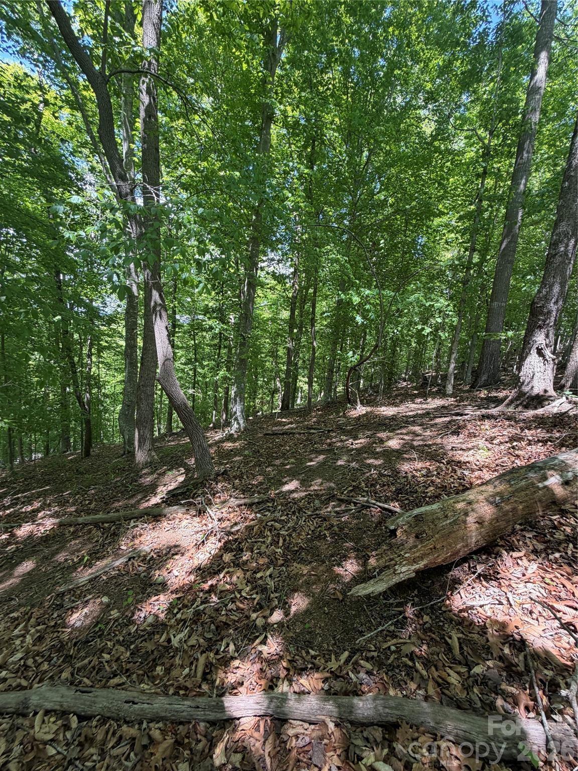 0 Creekside Circle, Unit 135 Rutherfordton, NC 28139 - Photo 8 of 20 a view of a forest