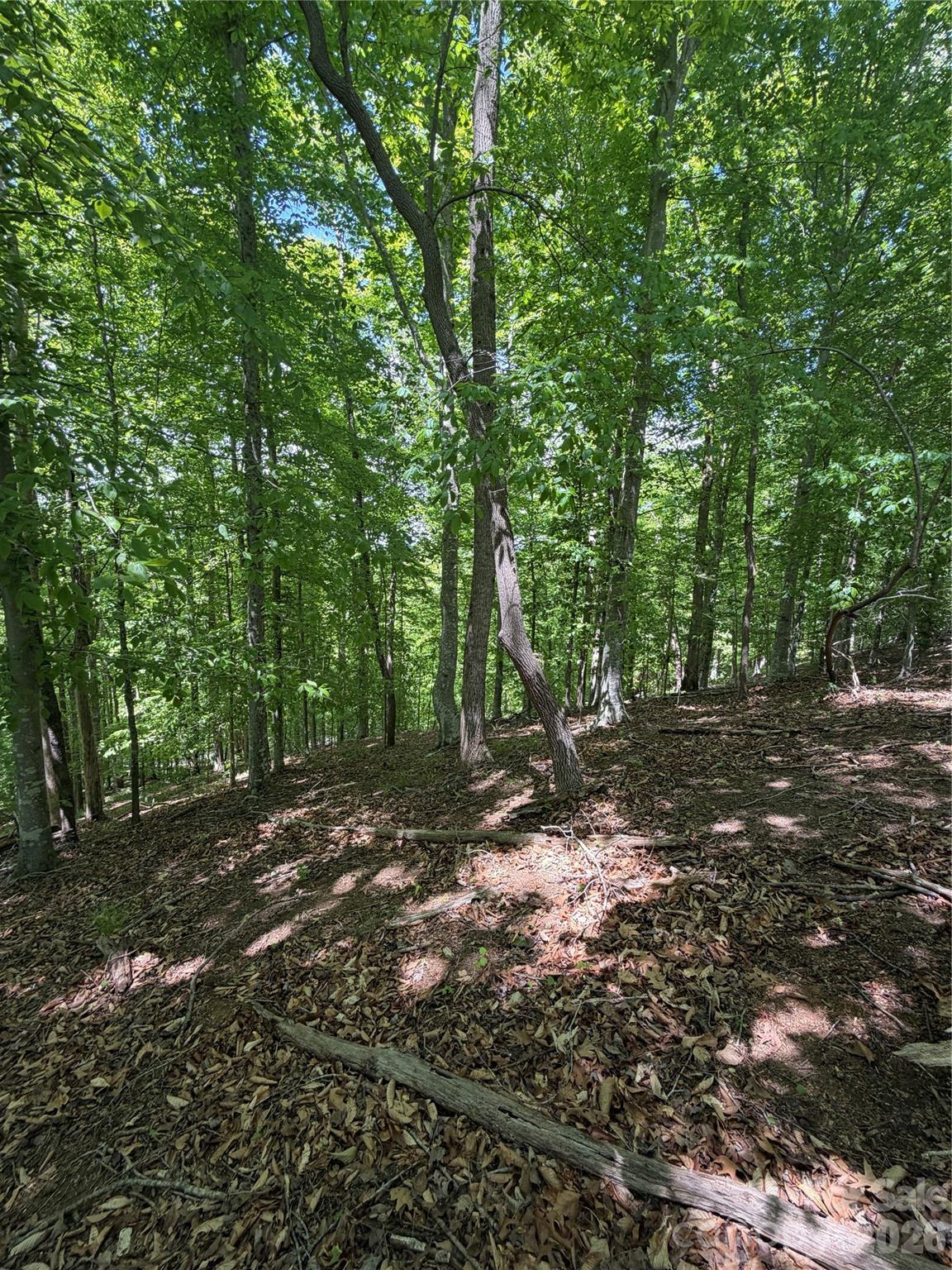0 Creekside Circle, Unit 135 Rutherfordton, NC 28139 - Photo 9 of 20 a backyard of a house with lots of green space