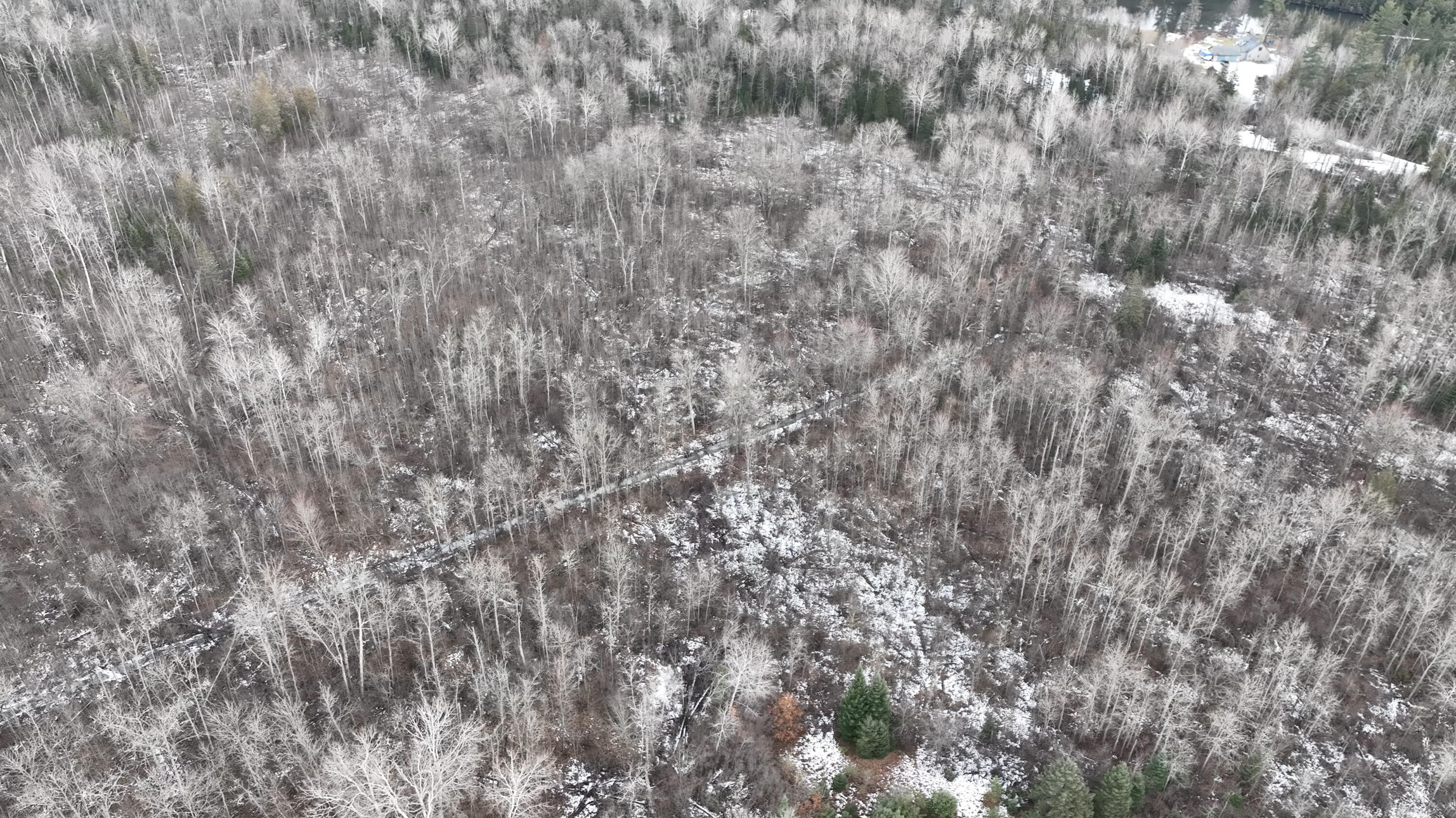 Lot 1 Funk Road Hillman, MI 49746 - Photo 11 of 25 Gallery Image 11