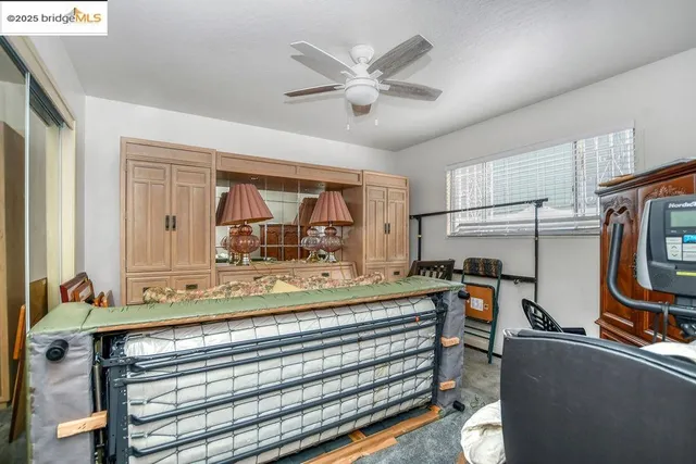 a view of a garden with pathway