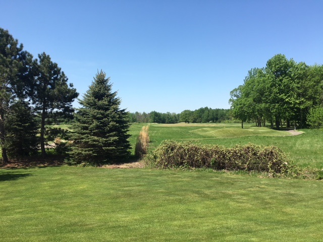 6776 East Valley Road Mount Pleasant, MI 48858 - Photo 74 of 75 1845675-81.JPG