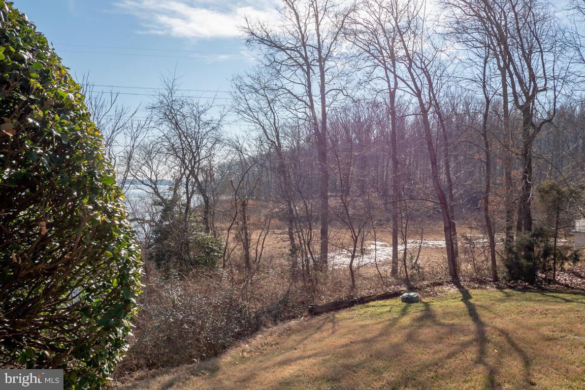 3100 Hemlock Point Court Triangle, VA 22172 - Photo 67 of 71 a view of a yard with trees and a wooden fence