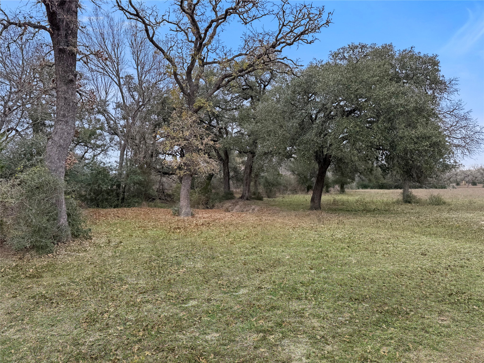5885 Nickel Mica Road Flatonia, TX 78941 - Photo 1 of 12 a view of outdoor space with trees
