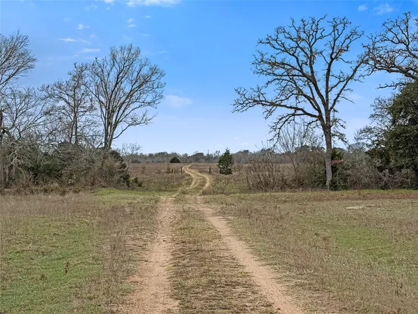 a view of mountain with large tree