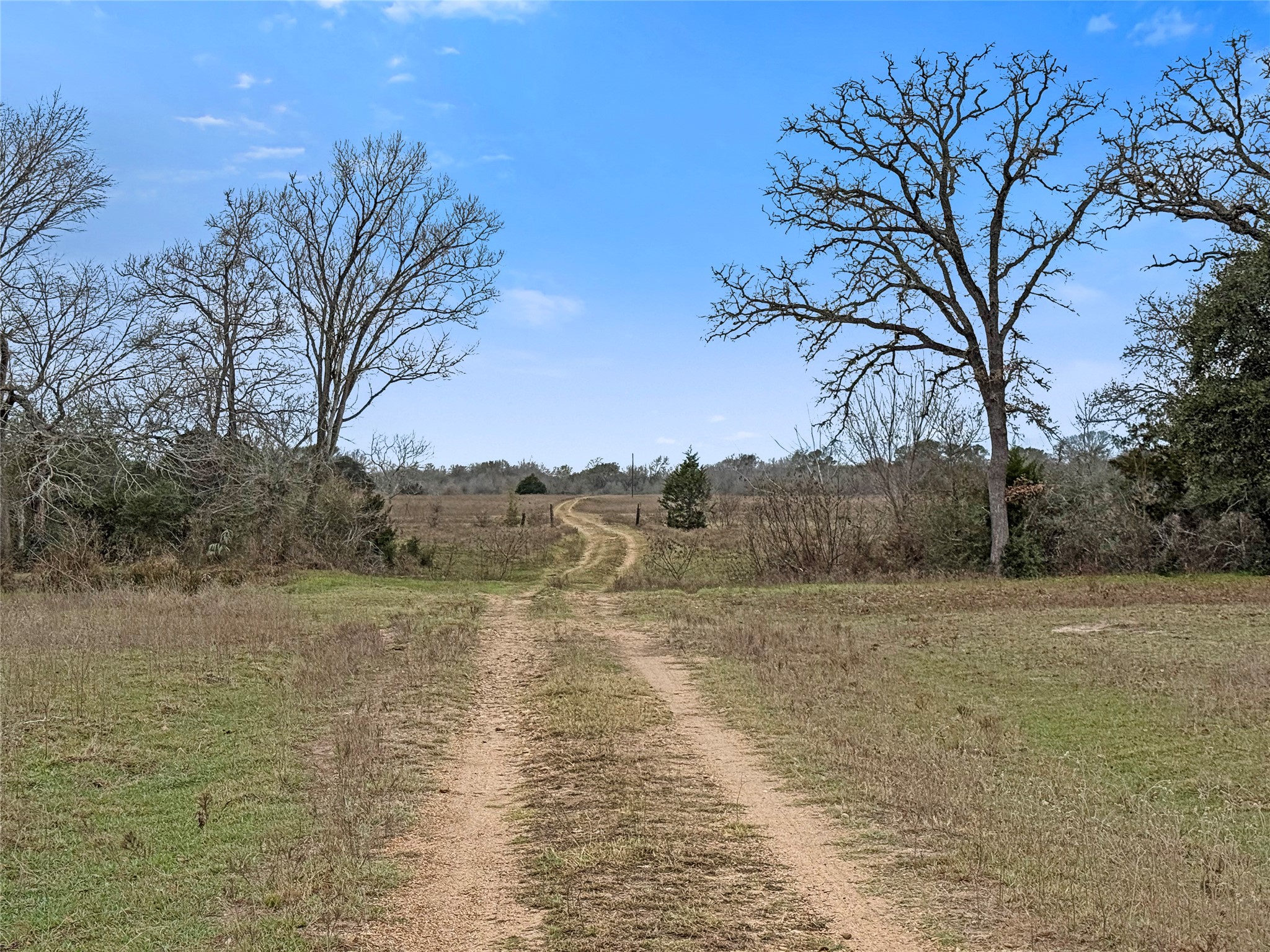 5885 Nickel Mica Road Flatonia, TX 78941 - Photo 2 of 12 a view of mountain with large tree