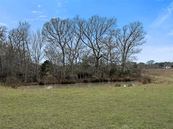 a view of a yard with trees