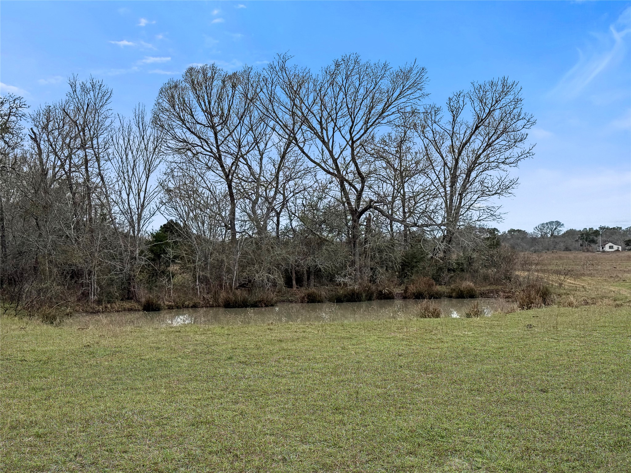 5885 Nickel Mica Road Flatonia, TX 78941 - Photo 7 of 12 a view of a yard with trees