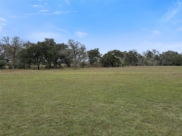 a view of a field with an ocean view