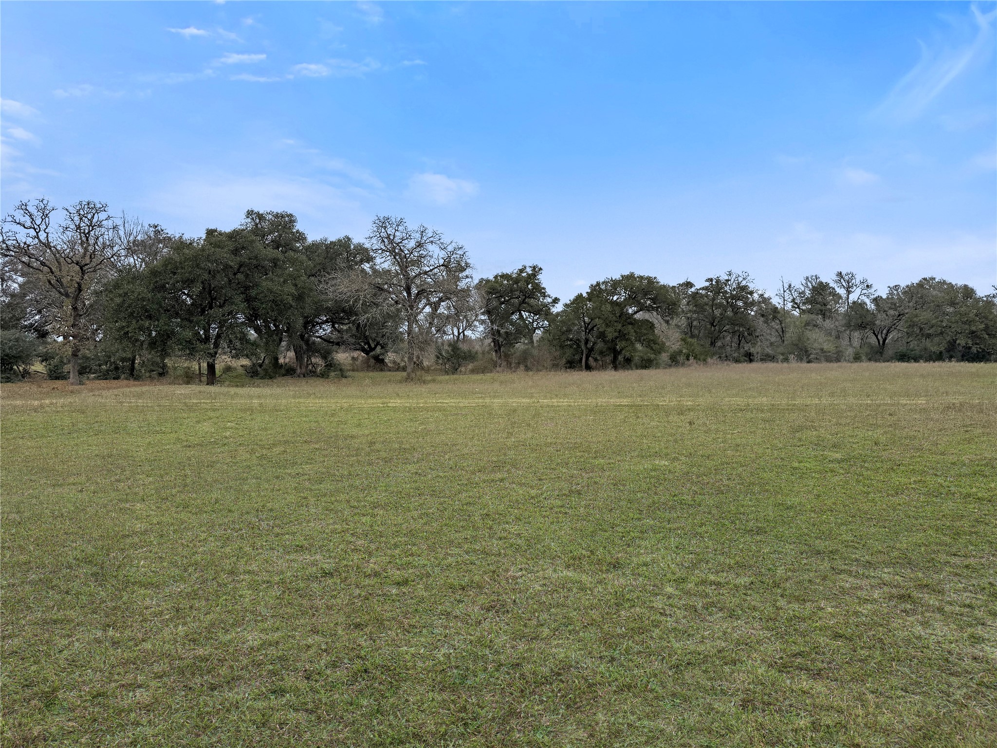 5885 Nickel Mica Road Flatonia, TX 78941 - Photo 8 of 12 a view of a field with an ocean view