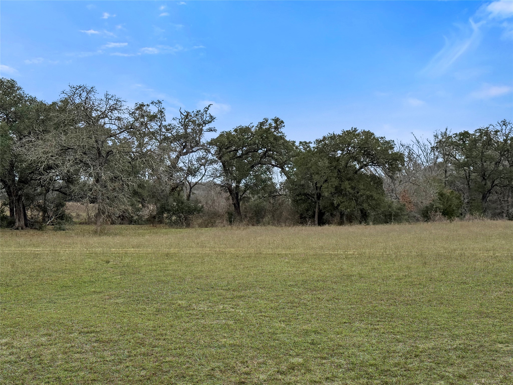 5885 Nickel Mica Road Flatonia, TX 78941 - Photo 9 of 12 a view of a field with an ocean