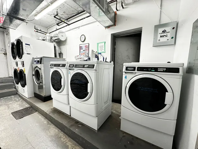 a living room with a couch and a potted plant
