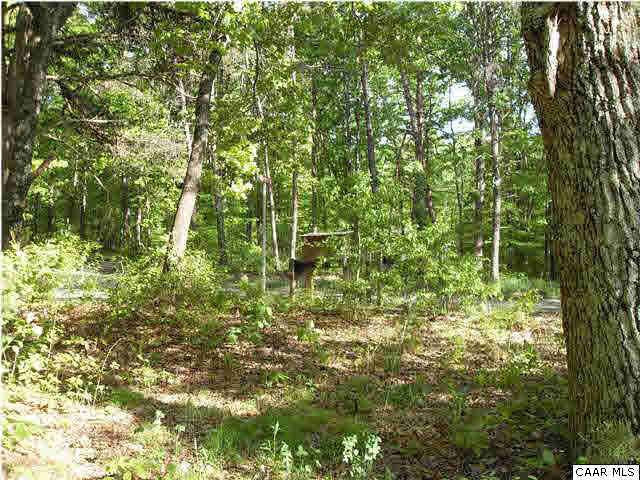 Medley Mountain Road Aroda, VA 22709 - Photo 1 of 1 a view of a yard with plants and large trees