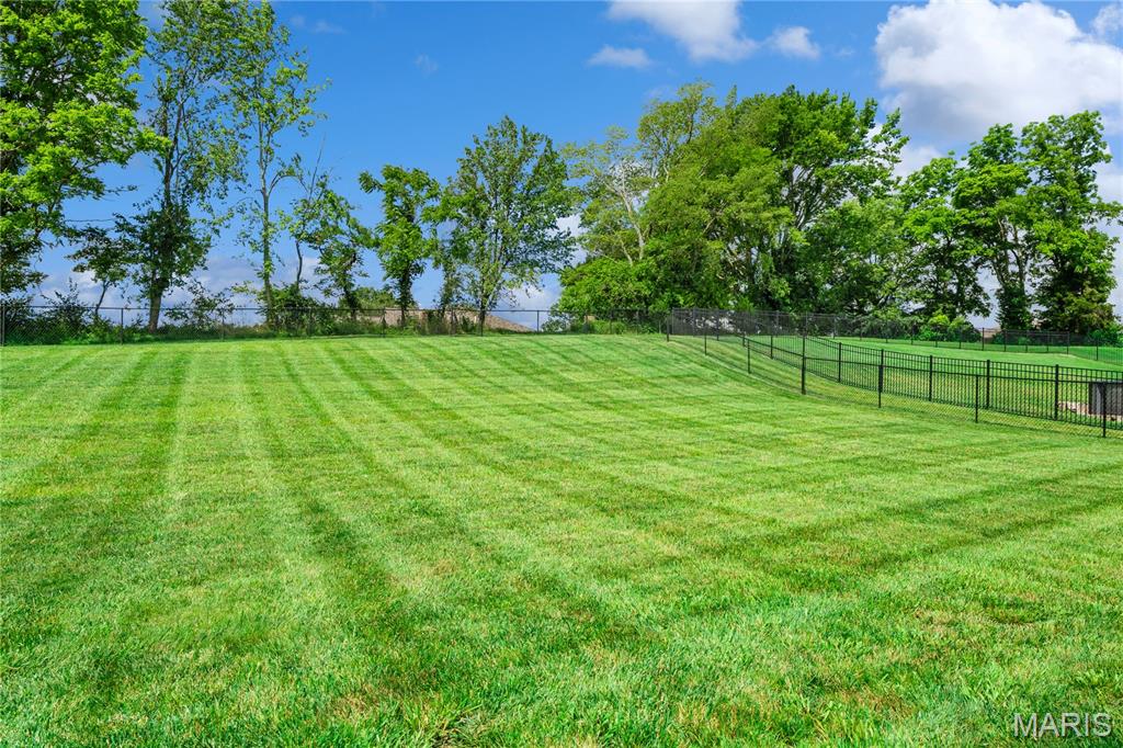 276 Culloden Moore Jackson, MO 63755 - Photo 2 of 43