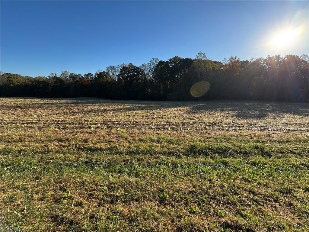 8.10-acres Brown Road King, NC 27021 - Photo 11 of 20