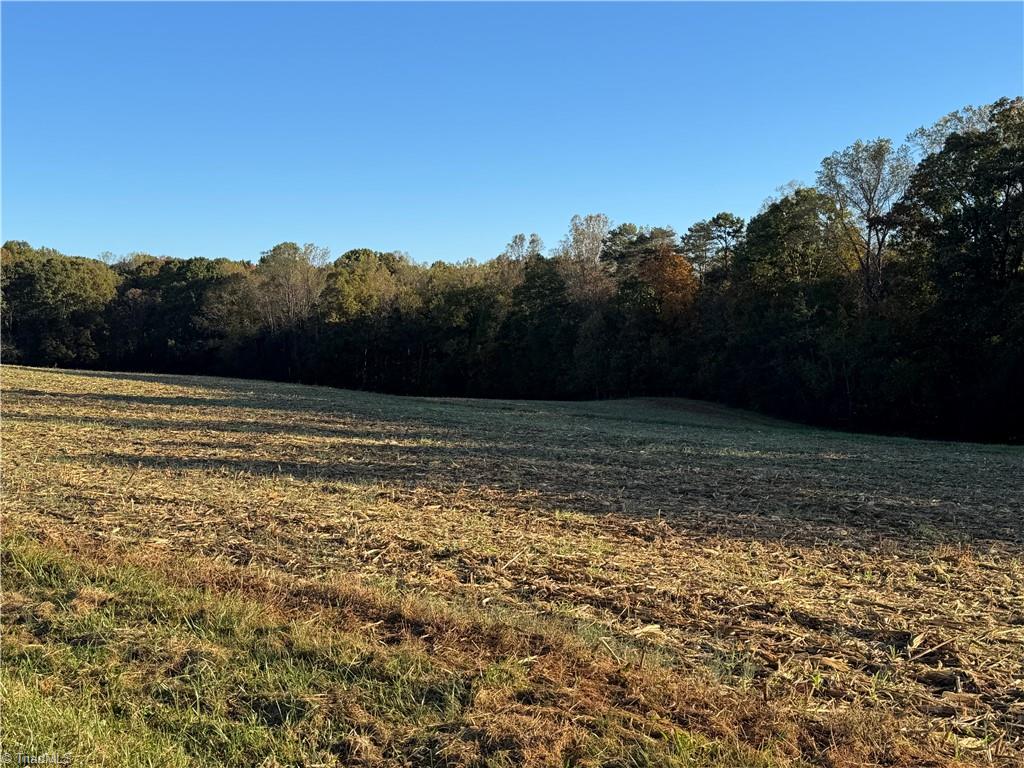 8.10-acres Brown Road King, NC 27021 - Photo 15 of 20