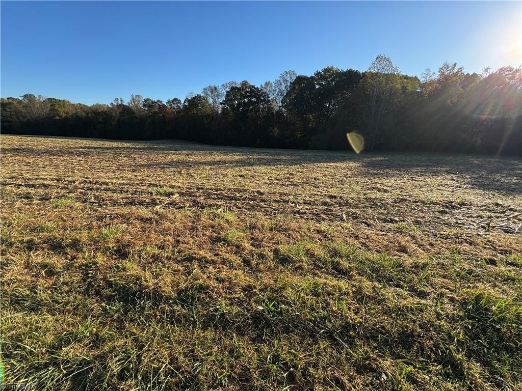 8.10-acres Brown Road King, NC 27021 - Photo 16 of 20