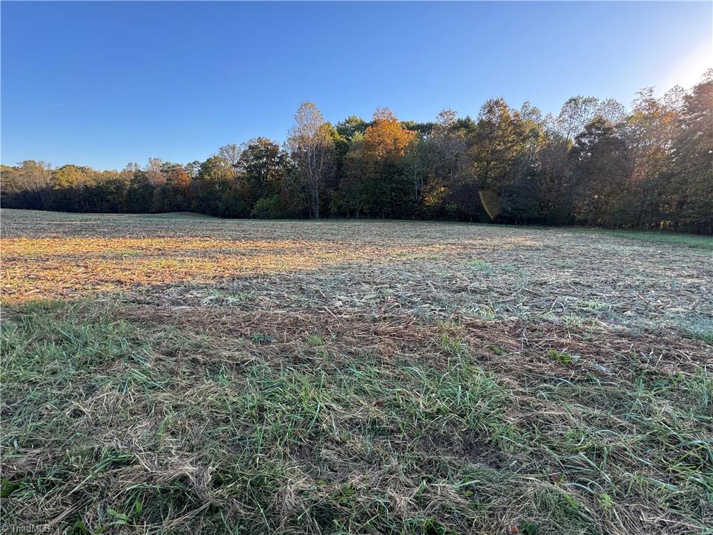 8.10-acres Brown Road King, NC 27021 - Photo 18 of 20