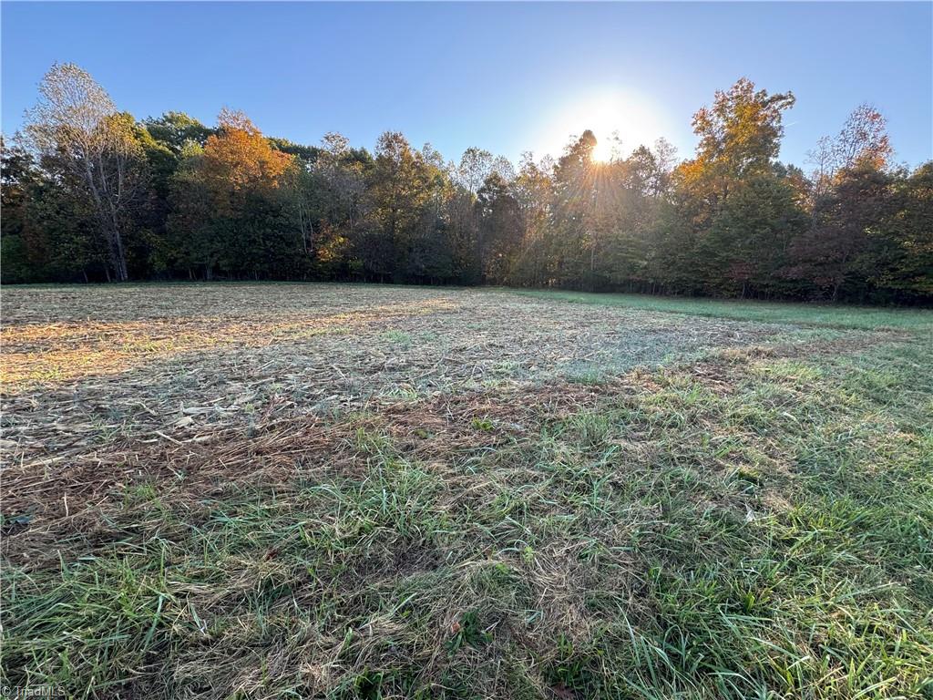 8.10-acres Brown Road King, NC 27021 - Photo 3 of 20